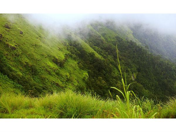 పీర్ మేడ్ సందర్శనీయ స్థలాలు