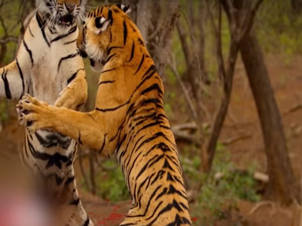 బతికుండి సాధించాలి
