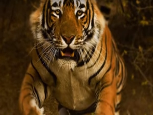 ఎక్కడుంది?
