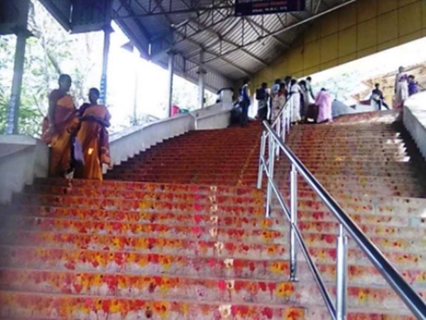 ఆలయ గర్భగుడి లోని ఒక దైవీకమైన పిల్లి