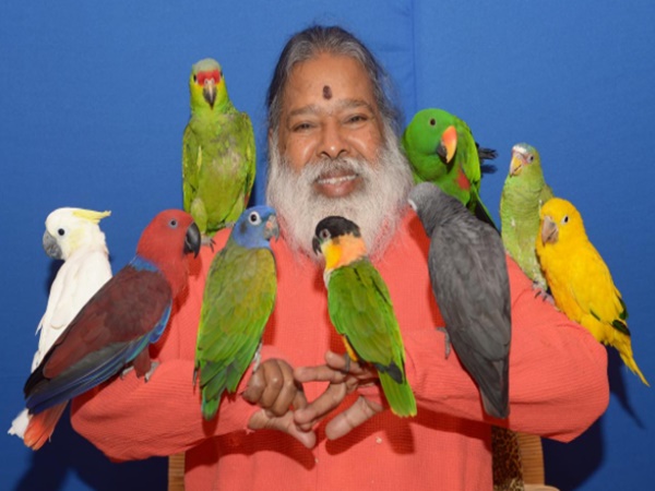చిలుకల వనం చూసొద్దామా! రండి రండి!