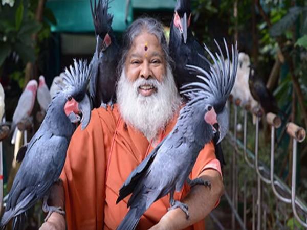 చిలుకల వనం చూసొద్దామా! రండి రండి!
