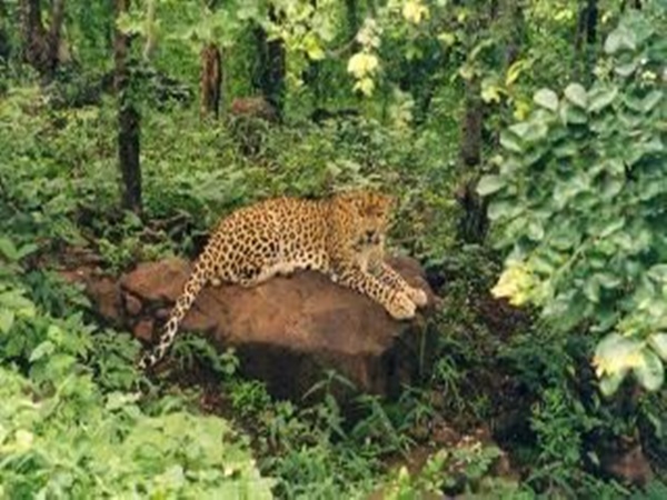 వన్ విహార్, భోపాల్