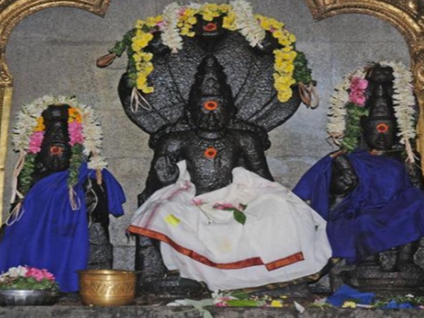 మహిమాన్వితమైన నాగమణి