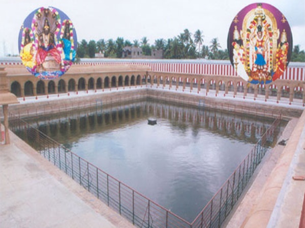 నాగమణి యొక్క రహస్యం
