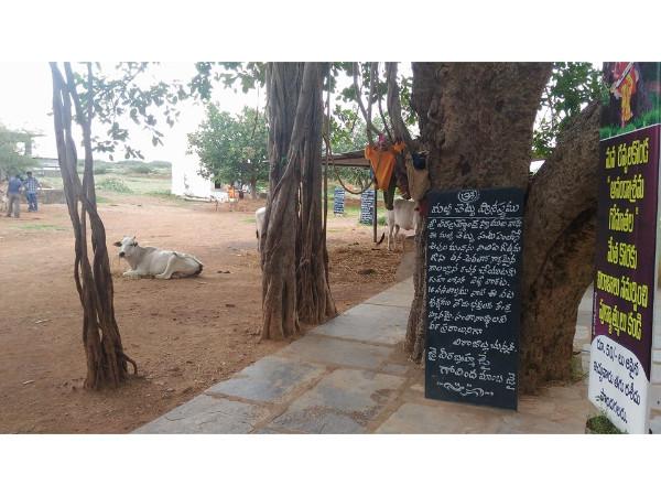 రవ్వలకొండ