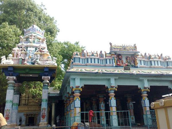 అరుదైన సంఘటన