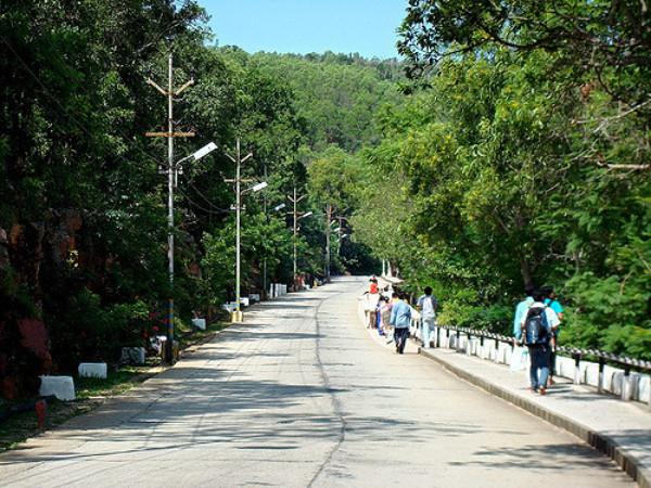 ఏనుగుల దారి