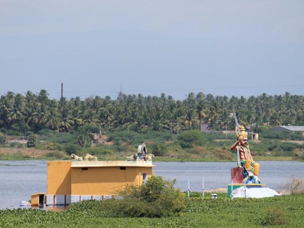 ఎక్కడ పుట్టింది?