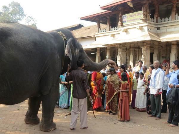 మూకాంబికా
