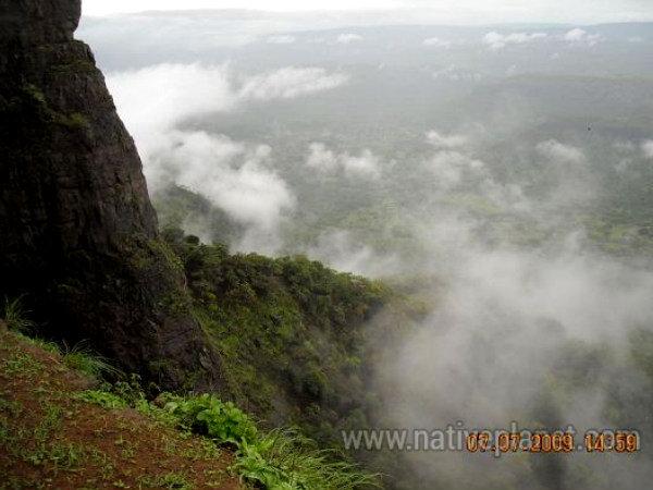 డ్యూక్ నోస్, లోనవాల