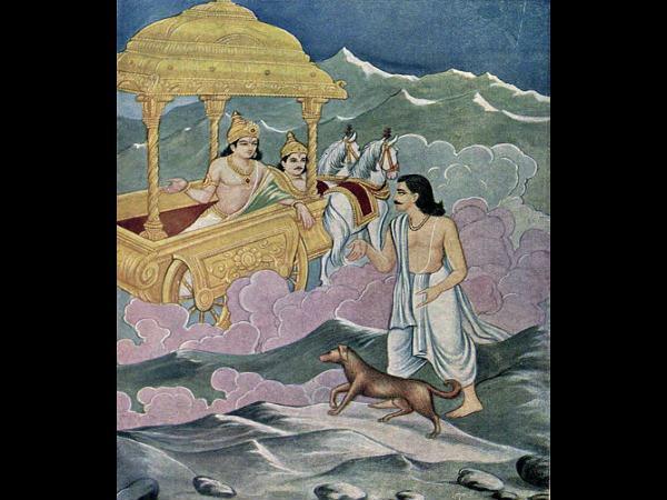 కుక్కను వదిలిపెట్టి రాను