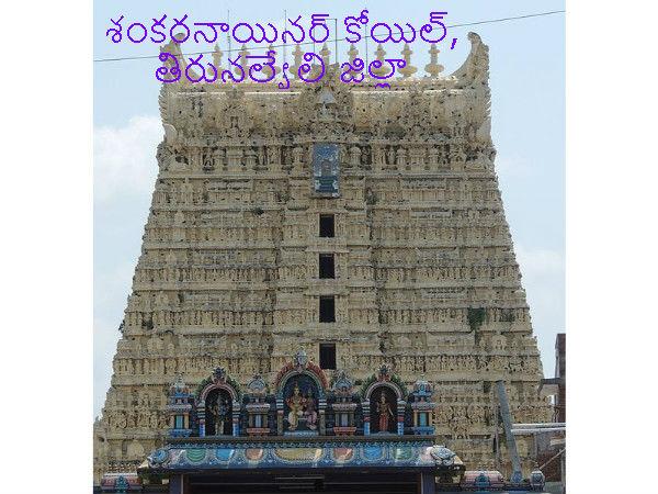 శంకరనాయినర్ కోయిల్ ఎక్కడ ఉంది ?