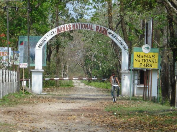 మానస్ జాతీయ పార్క్, అస్సాం