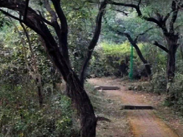 ఈ మహల్ గురించి చదివితే భయపడటం ఖాయం