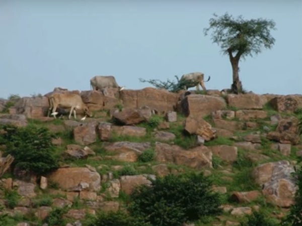 గోవర్దనగిరికి యుగాంతానికి సంబంధం ఏమిటి
