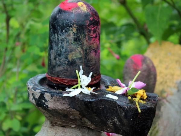 ప్రత్యేక లక్షణాలతో శివ లింగం