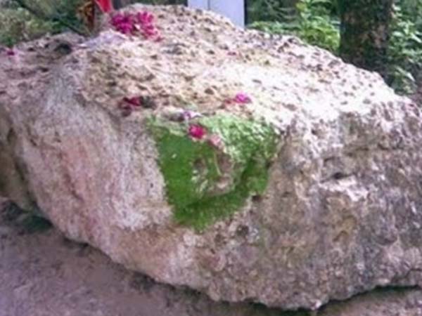 పిల్లలు పుట్టే భాగ్యం