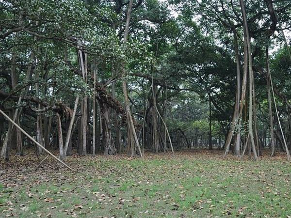 మనం ఇక్కడ చిత్రాల ద్వారా తెలుసుకుందాం