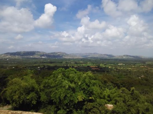 బంగారు జింకలు తిరిగే ప్రదేశం మన మధ్యే !