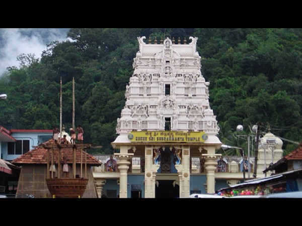 నాగ దోష పరిహారం గుడి !