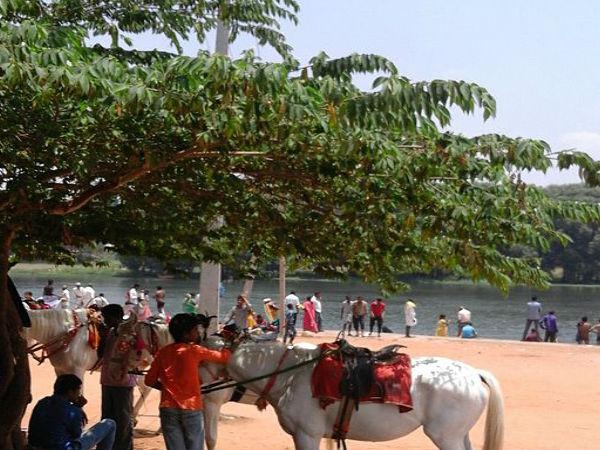 అక్కడి మట్టి దివ్య ఔషధంతో సమానం !