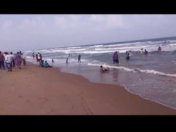 ఉసిరి చెట్టు మూలంలో వెలసిన శివలింగం గురించి మీకు తెలుసా?