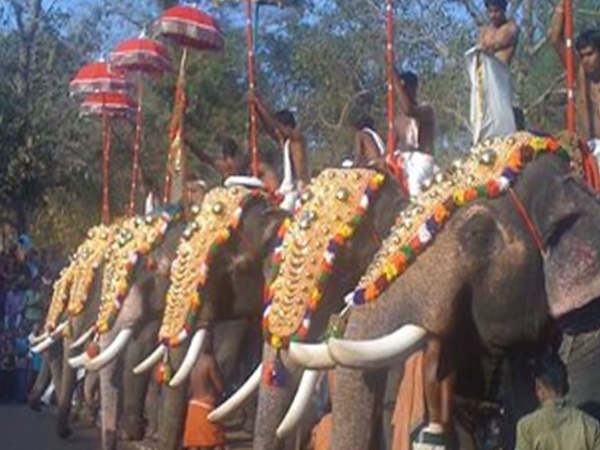 ఇక్కడ అమ్మవారిని తిట్టడమే