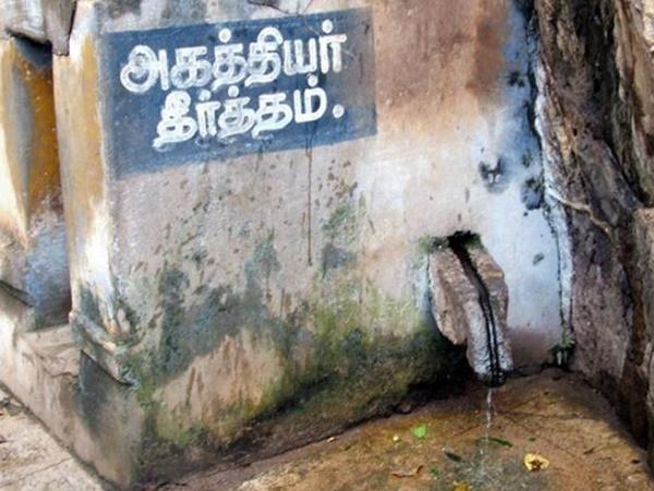 సంవత్సరానికి ఒకసారి బంగారు రంగులో మారే నంది! బయట పడిన సీక్రెట్స్!
