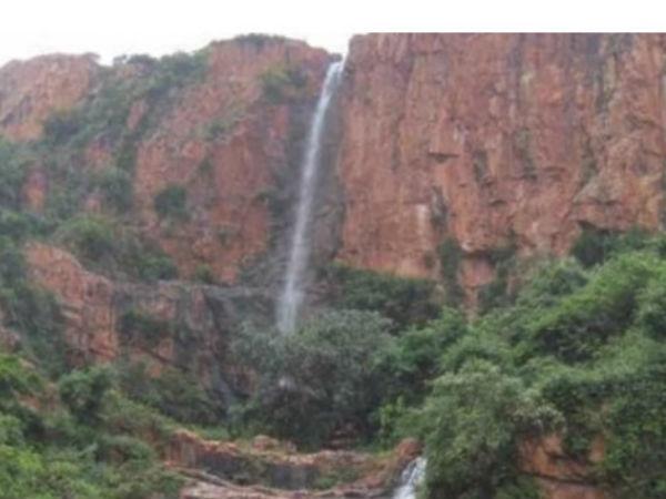 తిరుమలలో ఈ ఆకు తింటే లక్ష్మి మీ వెంటే !