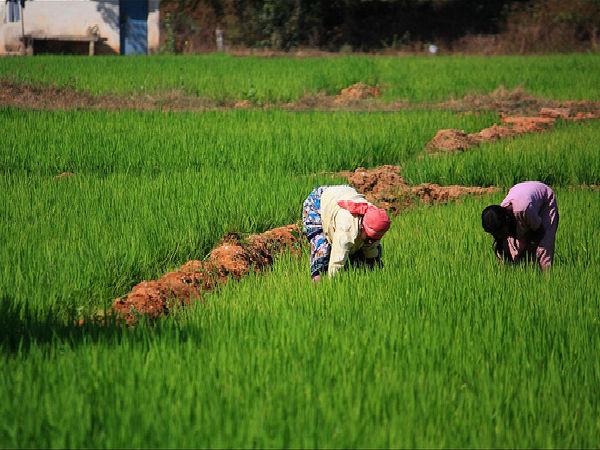 బెంగళూరు లో ఇటువంటి ప్రదేశాన్ని చూసారా ?