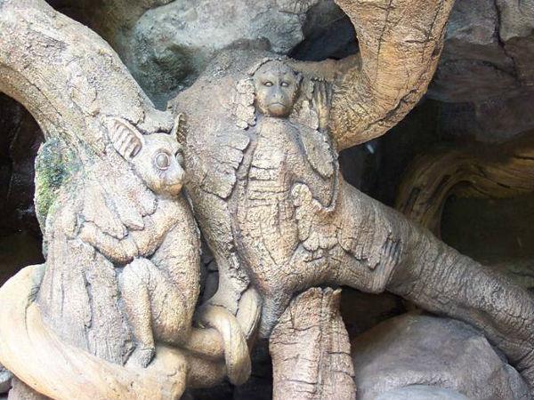 మిస్టరీల చెట్టు దృశ్యాలలో ..!