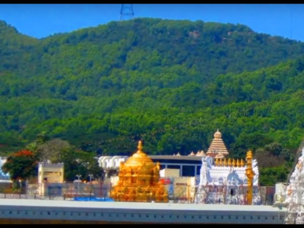 తిరుమలలో మహాద్భుతం... కళ్లు తెరిచిన స్వామివారి