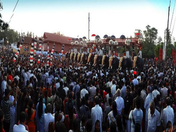 పల్లిక్కున్ను