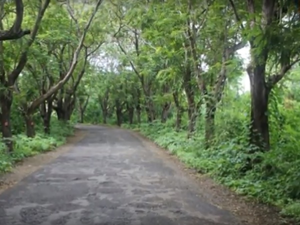 ఆర్య మిల్క్ కాలనీ రోడ్