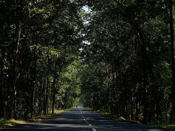 మారేడుమిల్లి ఎలా చేరుకోవాలి?