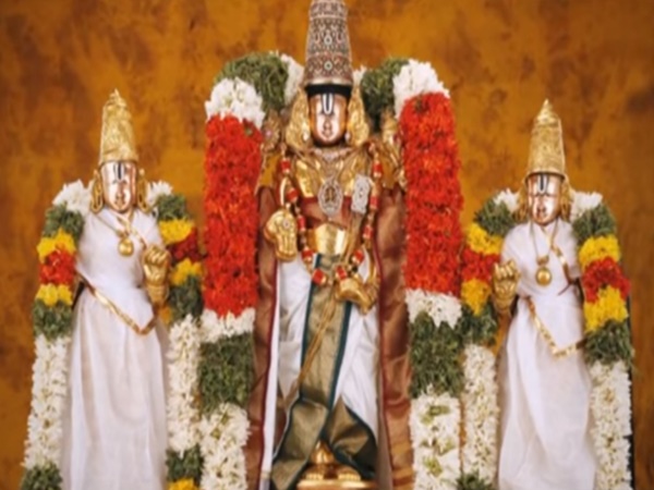 శ్రీవారి సేవలో పిల్లి