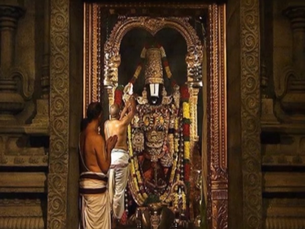 శ్రీవారి సేవలో పిల్లి