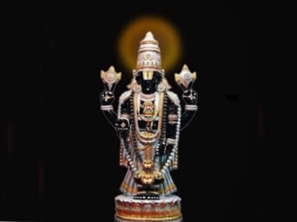 శ్రీవారి సేవలో పిల్లి