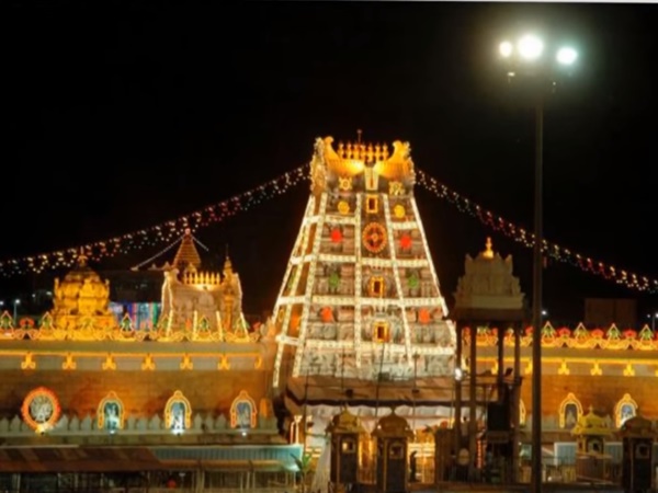 శ్రీవారి సేవలో పిల్లి