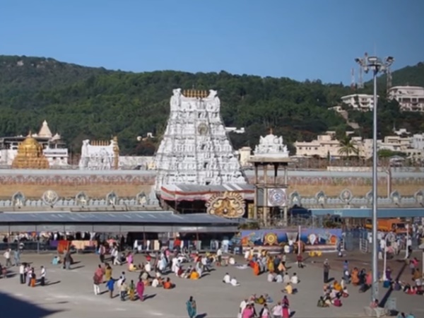 శ్రీవారి సేవలో పిల్లి