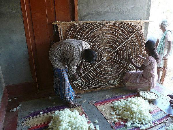 బెంగుళూరు నగరాన్ని ప్రతి ఒక్కరూ ఎందుకు ఇష్టపడతారో తెలుసా?