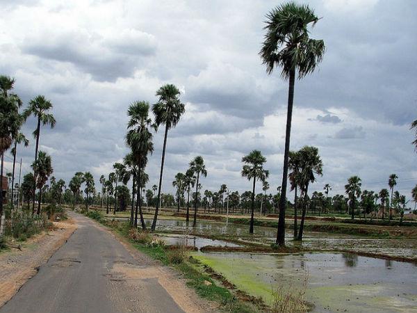 101 తలుపుల ఇల్లు కేరాఫ్ పోచంపల్లి !
