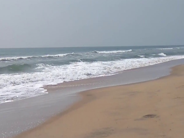 సముద్రతీరానికి కొట్టుకొచ్చిన జలకన్య !