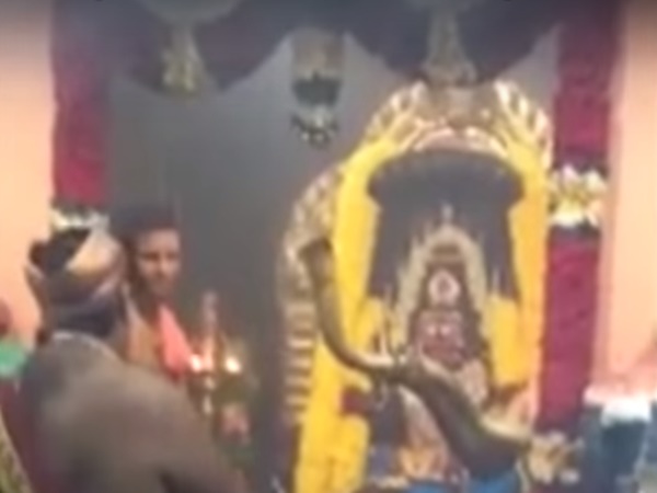 19 అడుగుల పాము కాపలాగా ఉన్న ఆలయం తెలుసా?