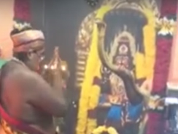 19 అడుగుల పాము కాపలాగా ఉన్న ఆలయం తెలుసా?