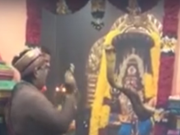 19 అడుగుల పాము కాపలాగా ఉన్న ఆలయం తెలుసా?