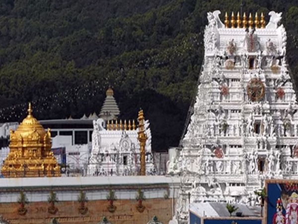 తిరుమలలో గర్భ గుడిలో వెలసిన విగ్రహం వెంకన్నది కాదా?