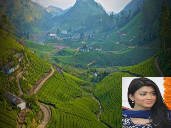 టాప్ హీరోయిన్లు పుట్టిన ప్రదేశాలు !!