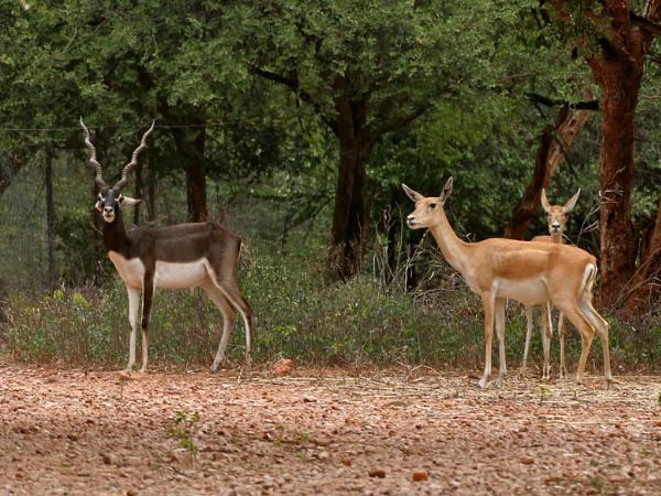 హైదరాబాద్ లో వీకెండ్ గడిపేయండిలా ..!